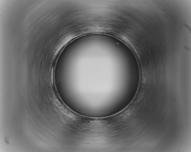 X0000102811227200808181216