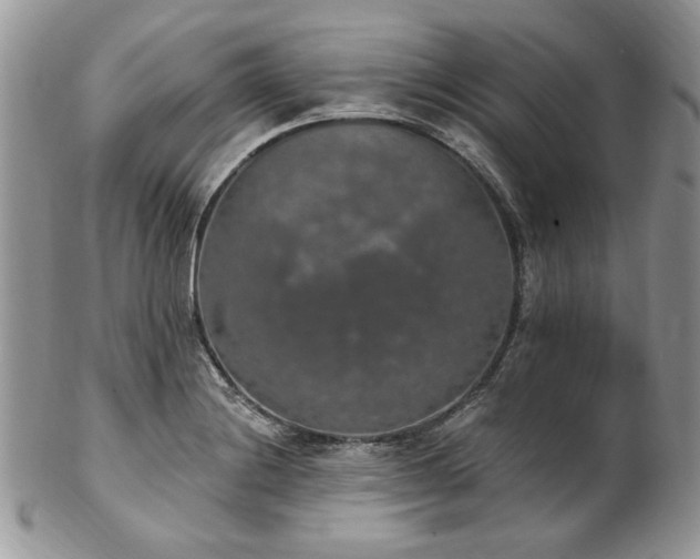 X0000102811228200808181216