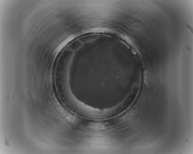 X0000102811229200808181216