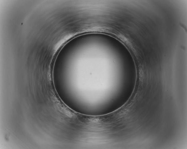 X0000102811230200808181216