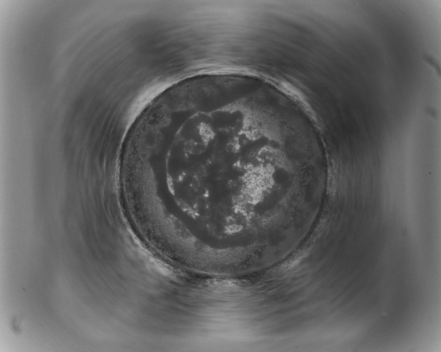 X0000102811231200808181216