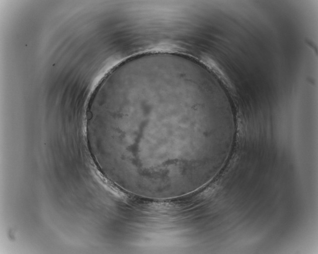 X0000102811232200808181216