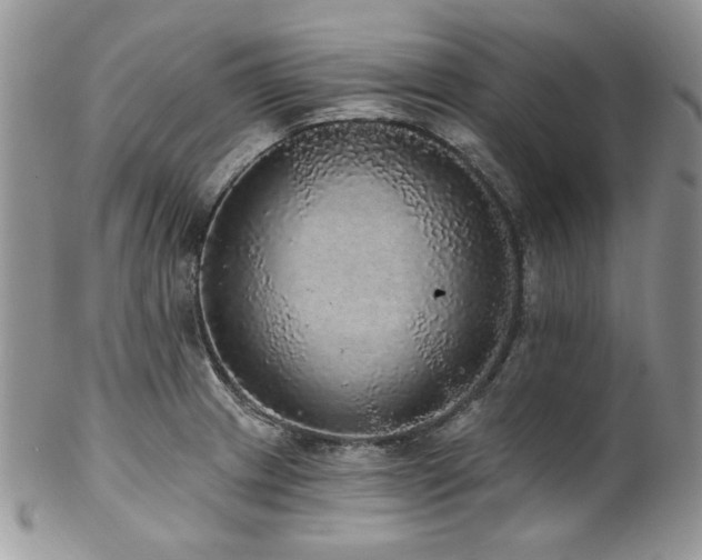 X0000102811233200808181216