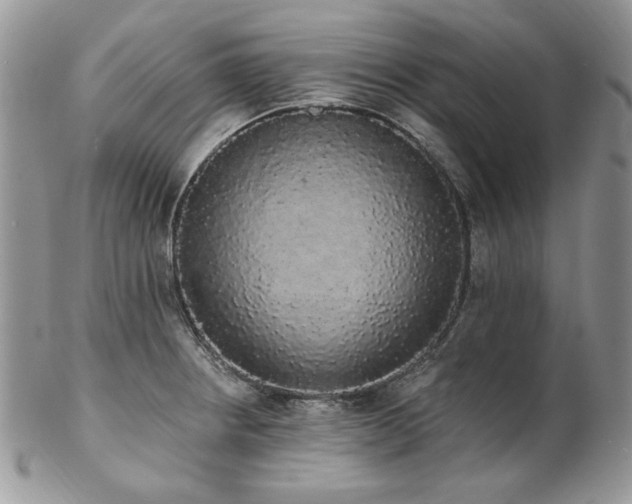 X0000102811234200808181216