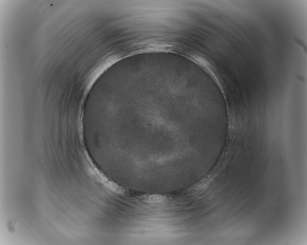 X0000102811235200808181216