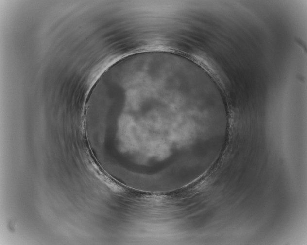 X0000102811236200808181216