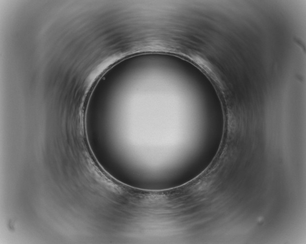 X0000102811238200808181216