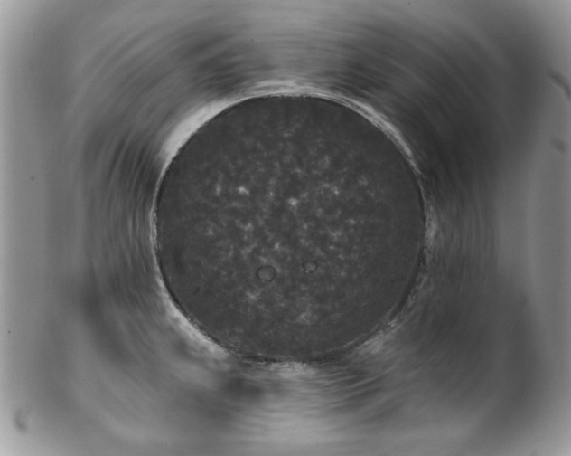 X0000102811239200808181216