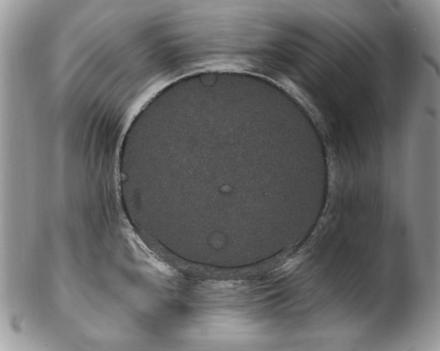 X0000102811240200808181216