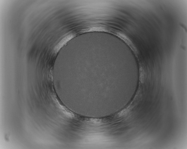 X0000102811241200808181216