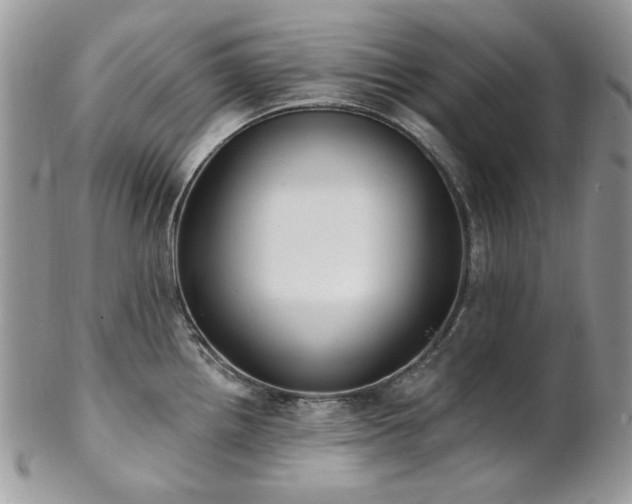 X0000102811242200808181216