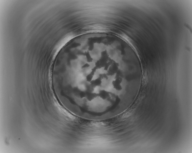 X0000102811243200808181216