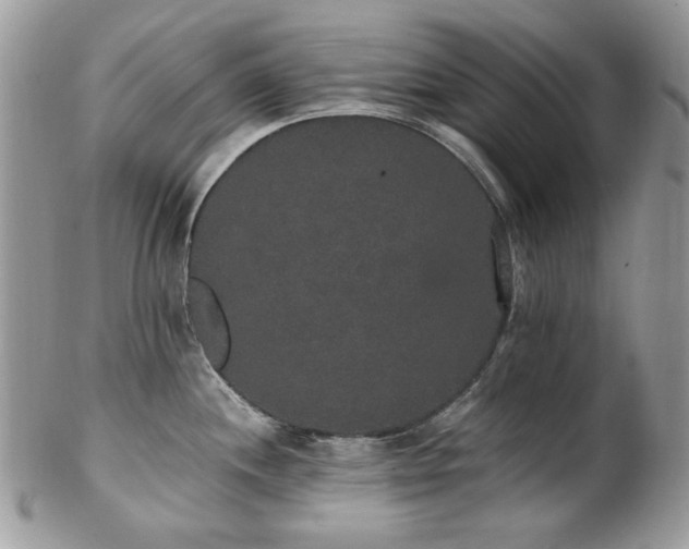 X0000102811244200808181216