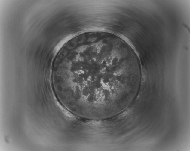 X0000102811245200808181216