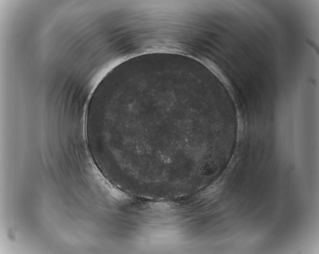 X0000102811246200808181216