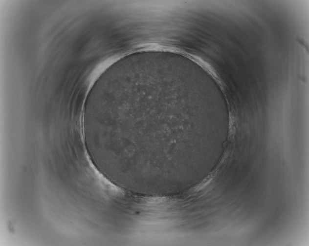 X0000102811247200808181216