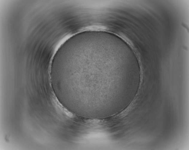 X0000102811248200808181216