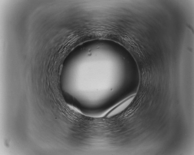 X0000102811249200808181215