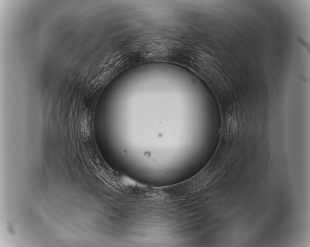 X0000102811250200808181215