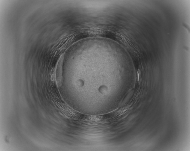 X0000102811251200808181215