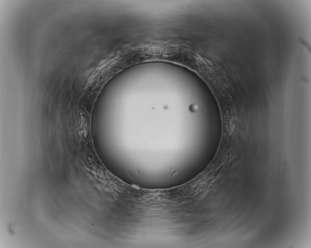 X0000102811253200808181215