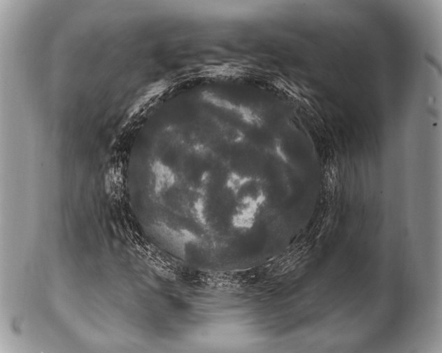 X0000102811254200808181215