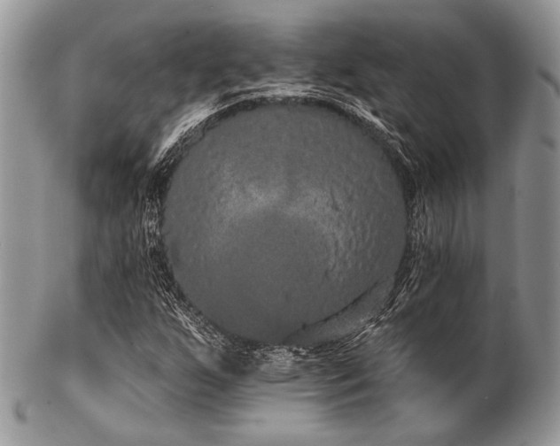 X0000102811255200808181215