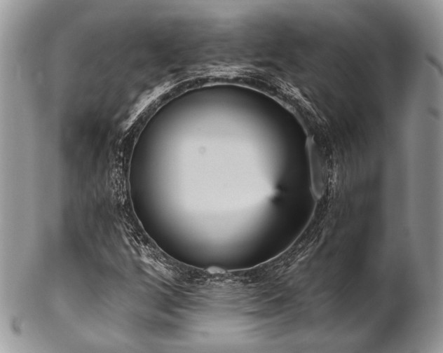 X0000102811256200808181215