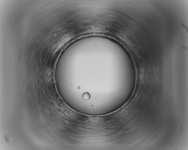 X0000102811258200808181215