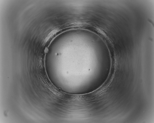 X0000102811259200808181215