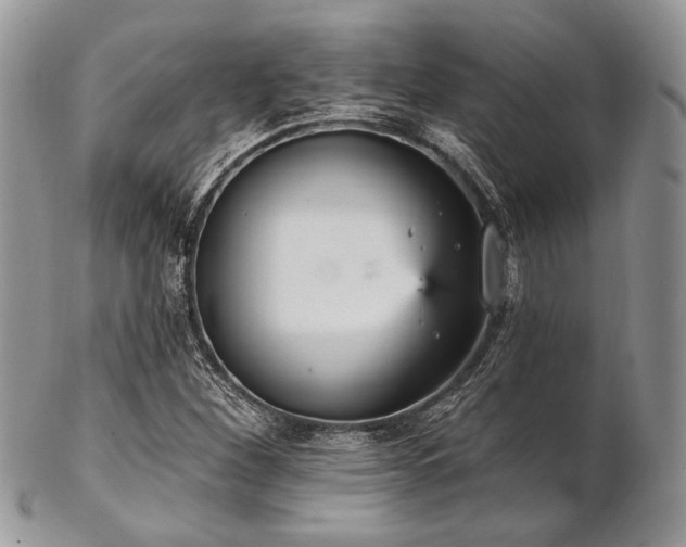 X0000102811260200808181215