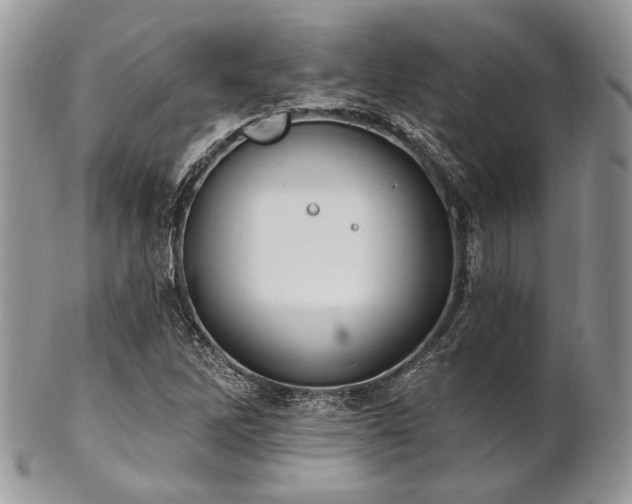 X0000102811262200808181215