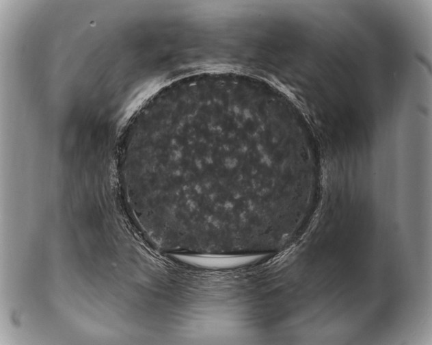 X0000102811263200808181215