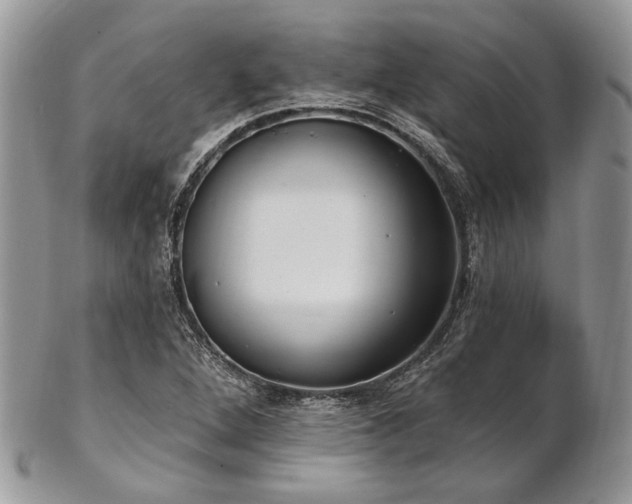 X0000102811264200808181215