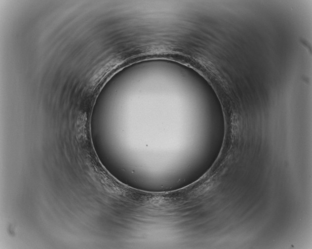 X0000102811265200808181215