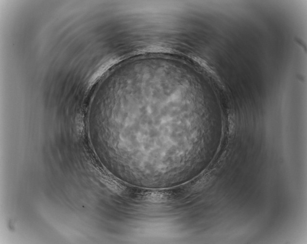 X0000102811266200808181215