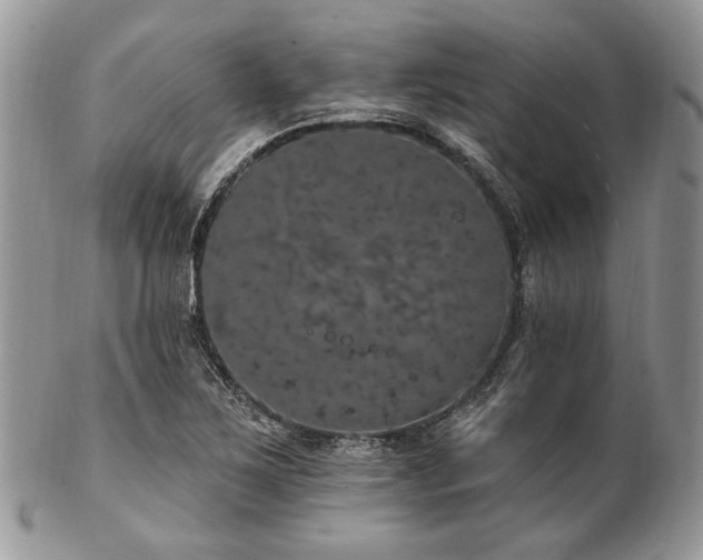 X0000102811267200808181215