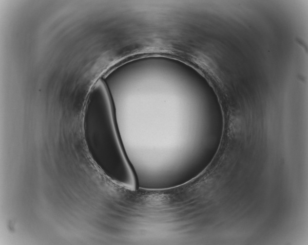 X0000102811268200808181215