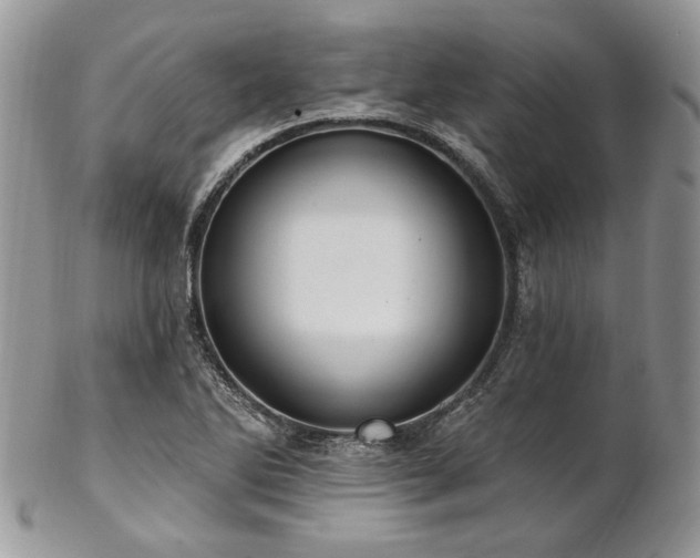 X0000102811270200808181215