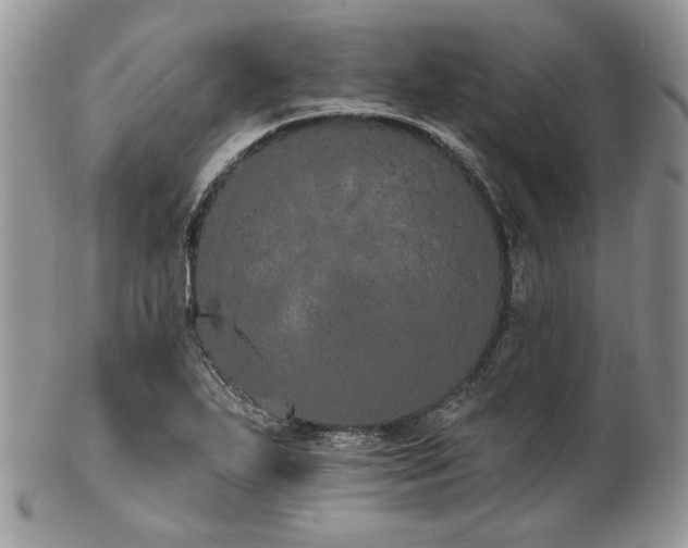 X0000102811271200808181215