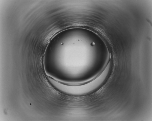 X0000102811273200808181215