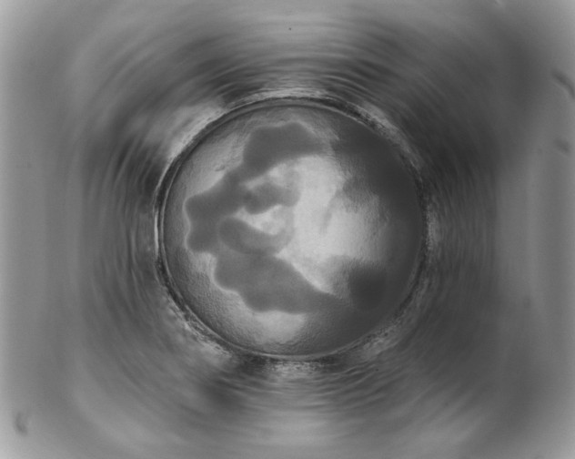 X0000102811274200808181215