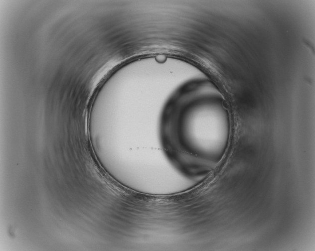 X0000102811275200808181215