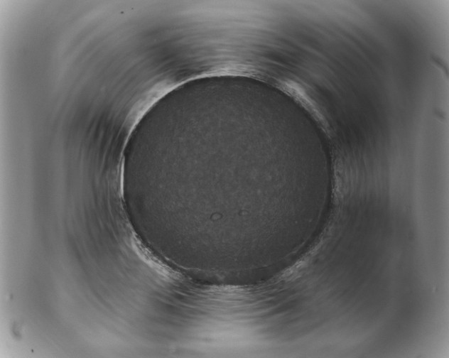 X0000102811276200808181215