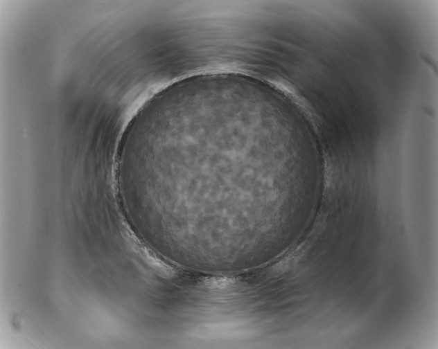 X0000102811278200808181215