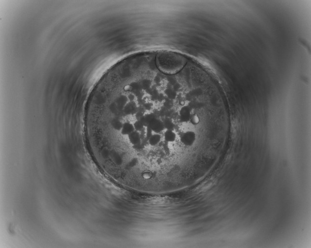 X0000102811279200808181215