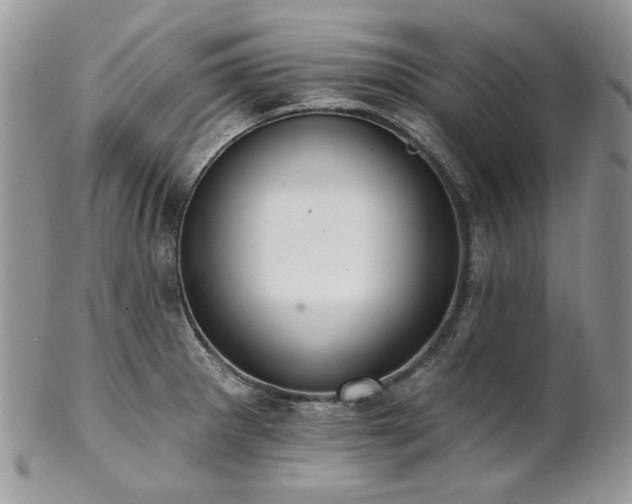 X0000102811281200808181215