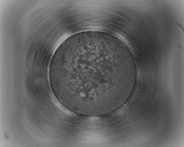 X0000102811283200808181215