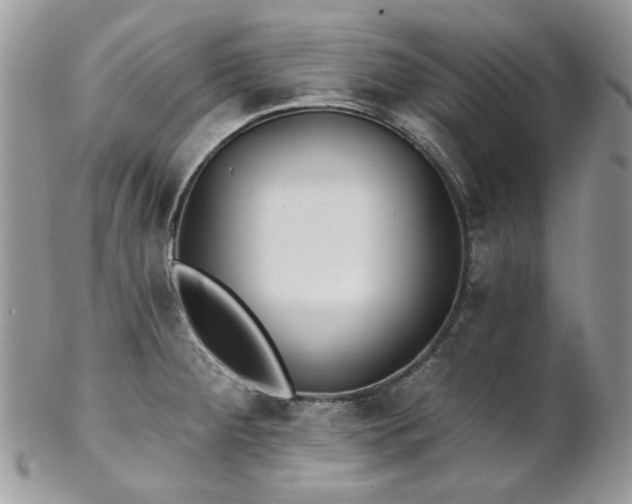 X0000102811284200808181215