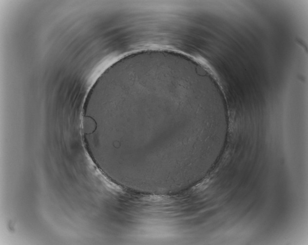 X0000102811287200808181215